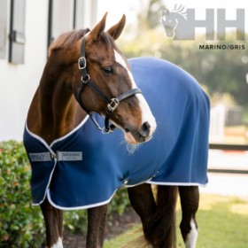 MANTA AMIGO JERSEY COOLER...
